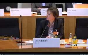 Frau Dr. Schmidt Bundestag